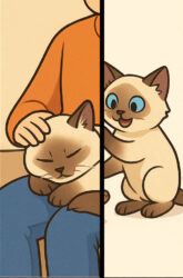 Good mix between / Eine gute Mischung