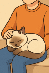 Cuddly / Schmusekatze