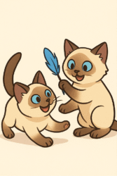 Playful / Verspielte Katze